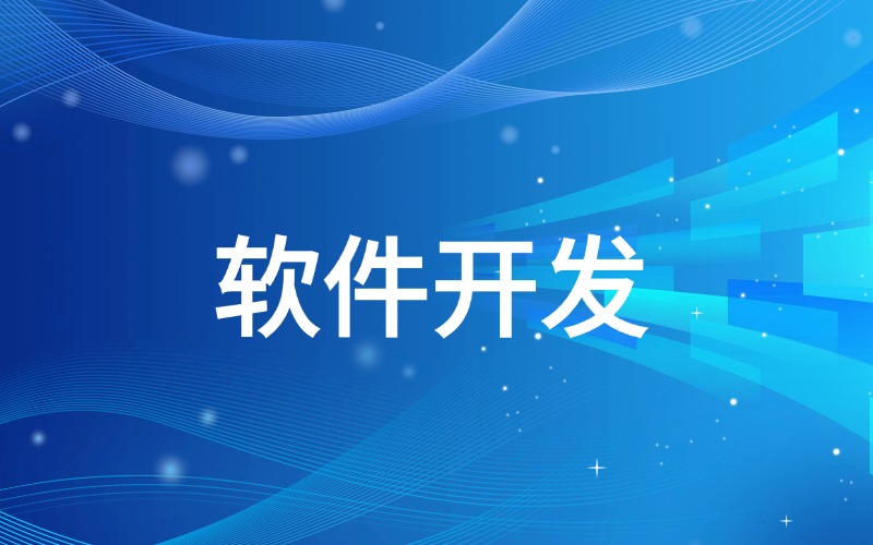 软件开发